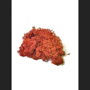 Mech rdzawy 50 g